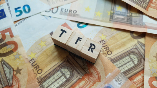 TFR e TFS nel pubblico impiego: termini di pagamento, novità normative e nuovo intervento della Corte Costituzionale